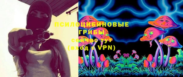 прущая мука Белокуриха