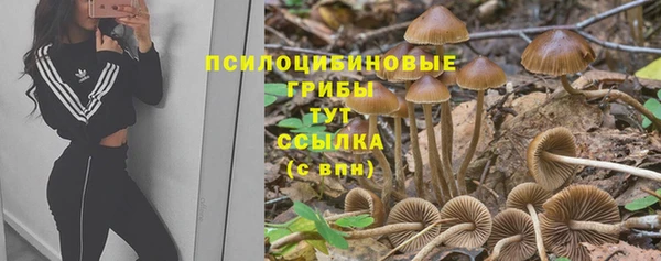 ECSTASY Беломорск