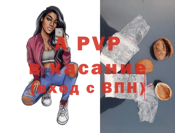 стаф Богородицк