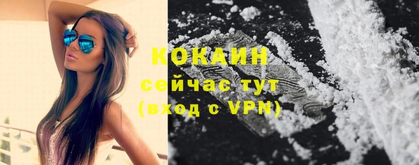 стаф Богородицк