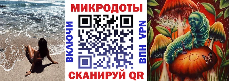 Псилоцибиновые грибы Psilocybine cubensis  Велиж 